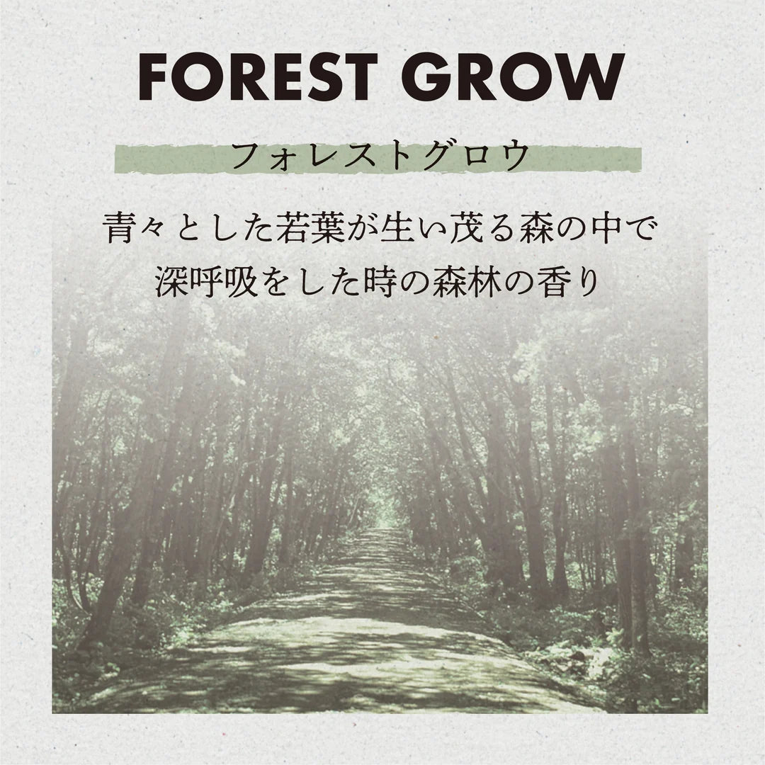 
                  
                    Awesome Days Clip Forest Grow
                  
                