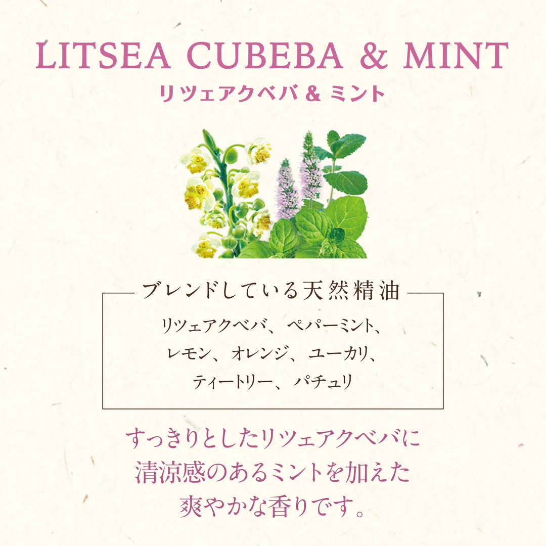 
                  
                    Kitoca 190 Litsea Cubeba & Mint
                  
                
