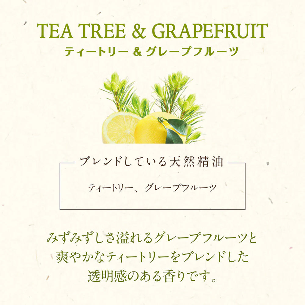 
                  
                    Kitoca 190 Tea Tree & Grapefruit
                  
                
