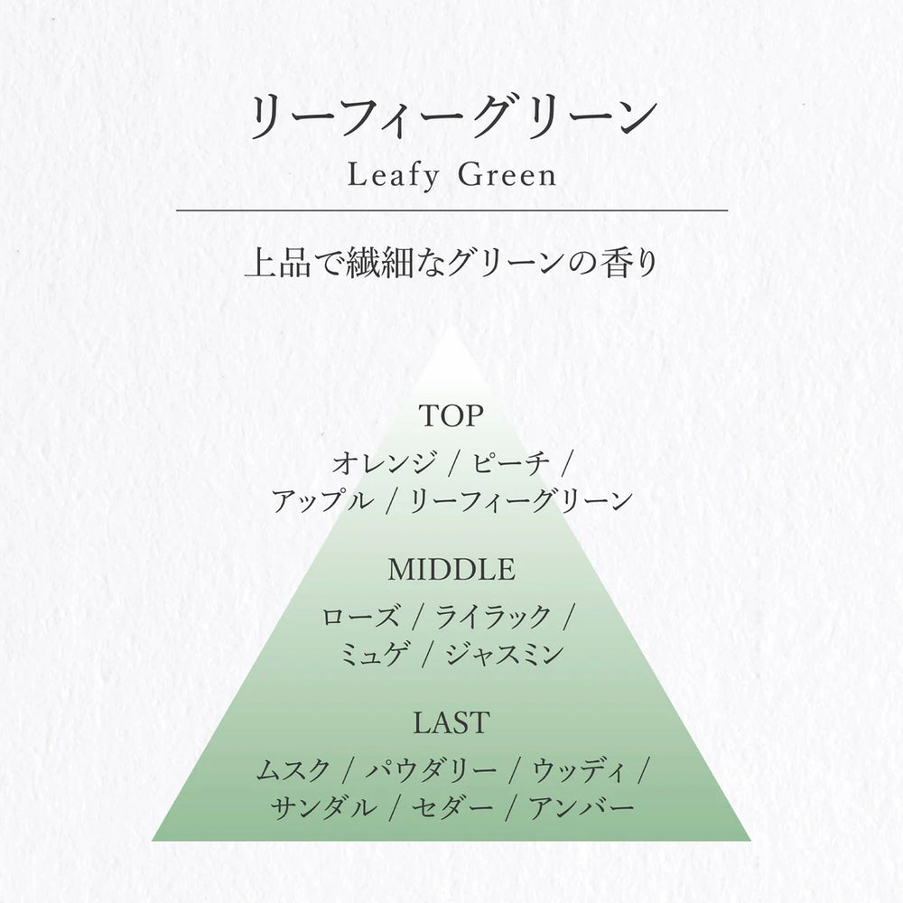 
                  
                    Vage Leafy Green
                  
                