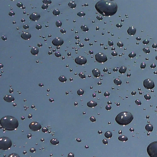 
                  
                    Wax in Shampoo
                  
                